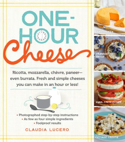 one-hourcheese