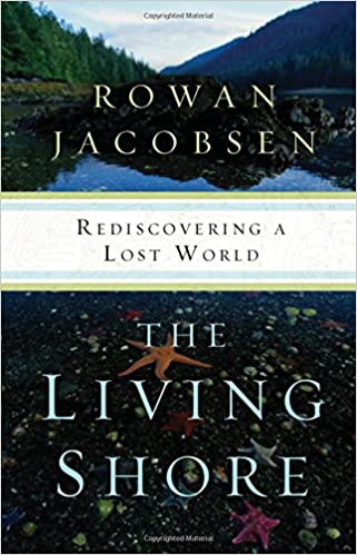the living shore